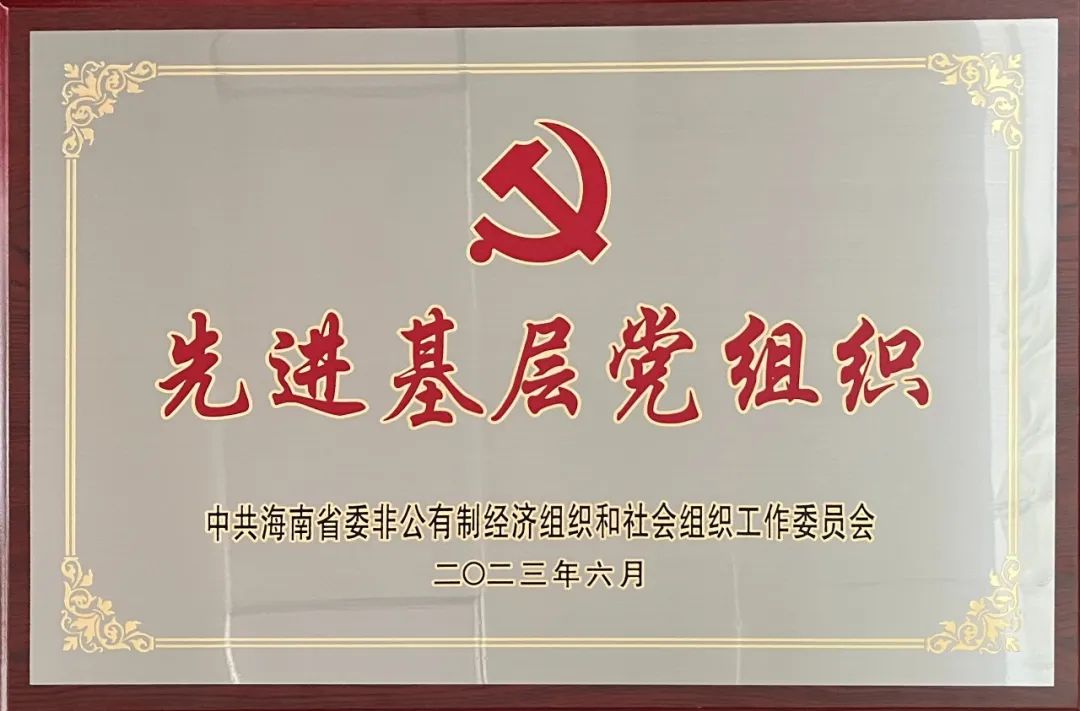 海南省两新组织先进基层党组织.jpg
